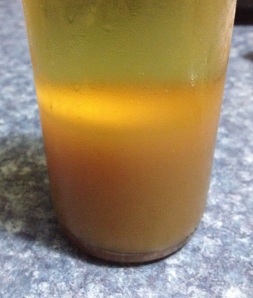 Bottled lime mead (metheglyn) showing lees settled at the bottom.